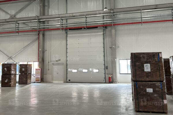 1772183553759344.jpg 提升18.jpg